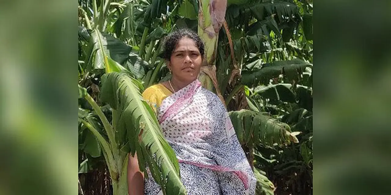 Organic farming techniques tamilnadu