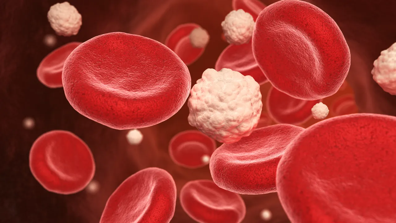 Blood Cancer: 