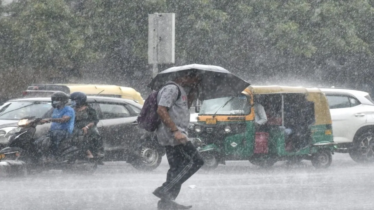 rain alert