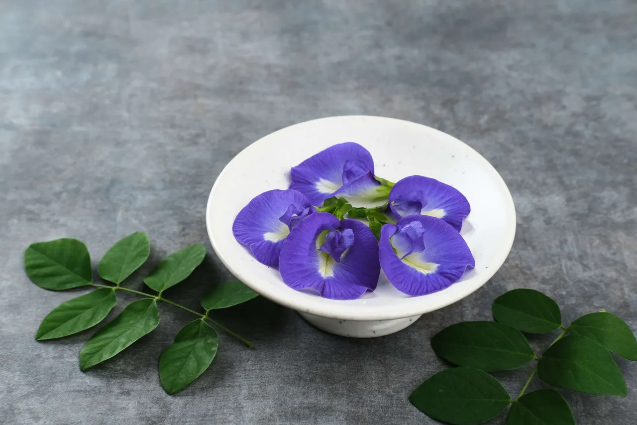 ButterflyPeaFlowerTea1