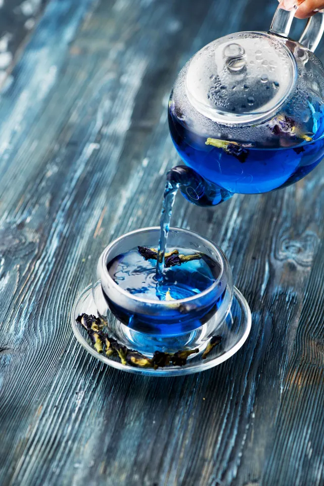 ButterflyPeaFlowerTea3