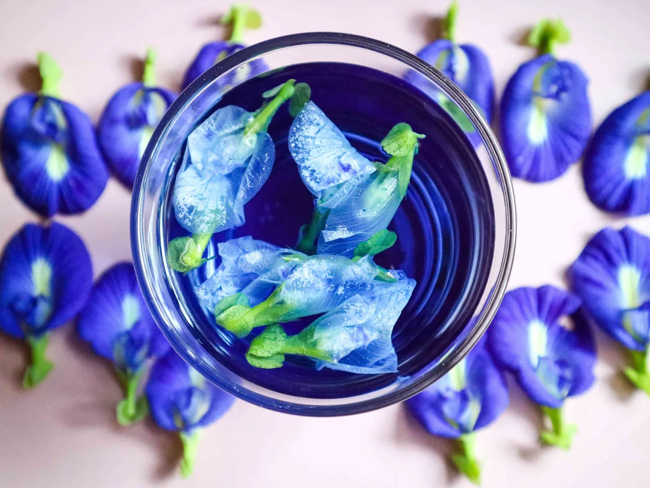 ButterflyPeaFlowerTea5