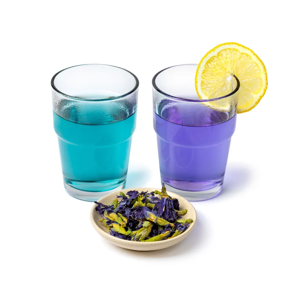 ButterflyPeaFlowerTea6