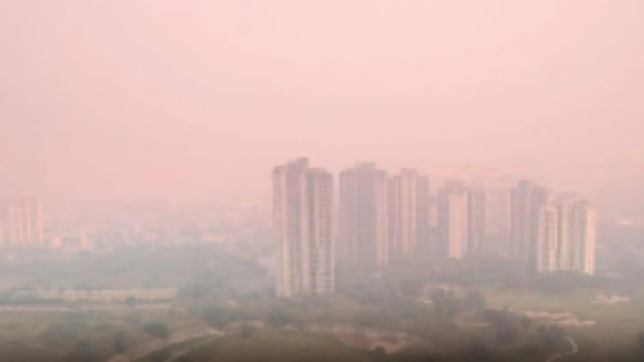 delhi