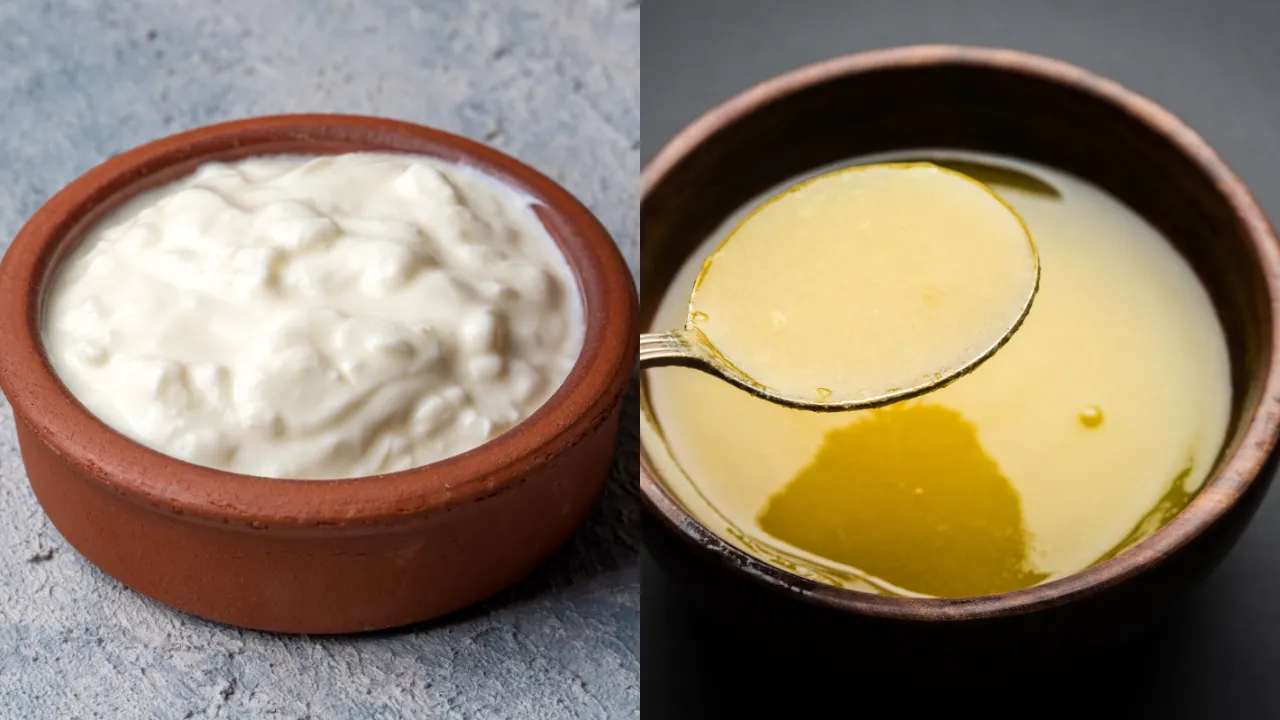 Ghee- Curd