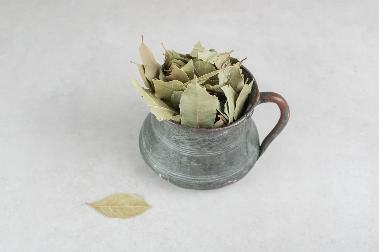 bayleaves61