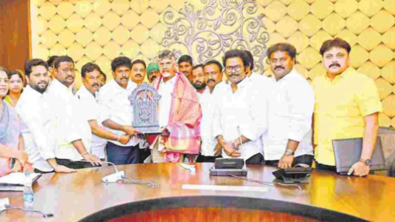 cbn 