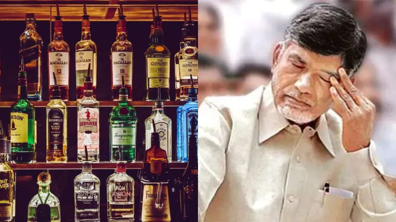 liquor shop 
