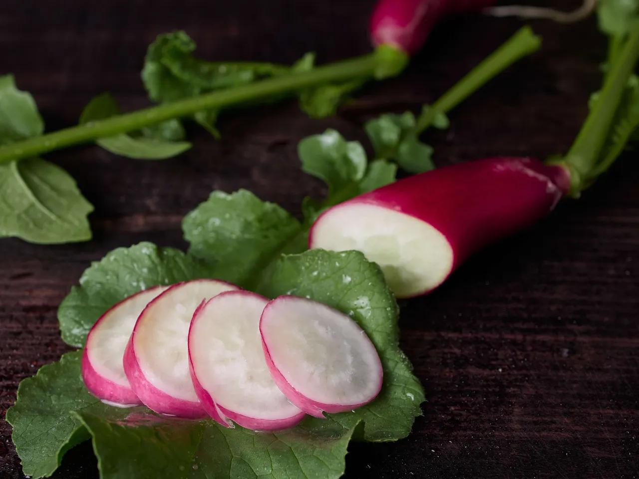 radish5