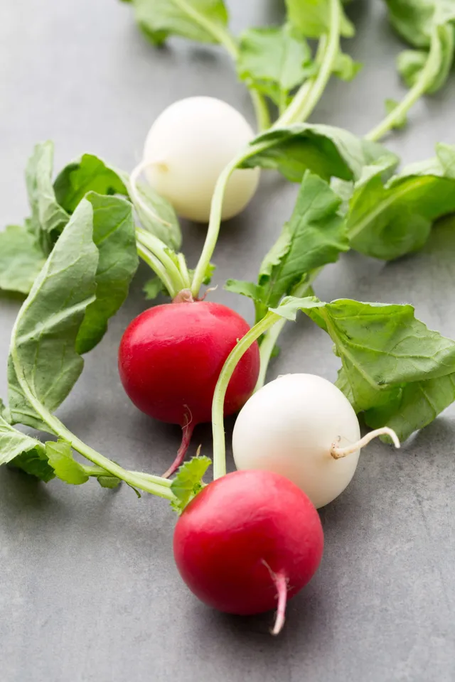 radish8