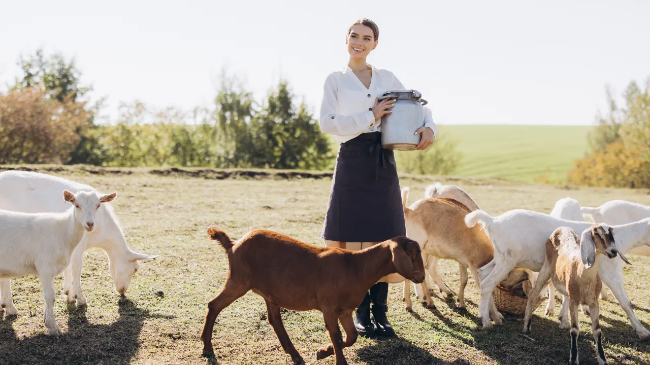 Goat Milk