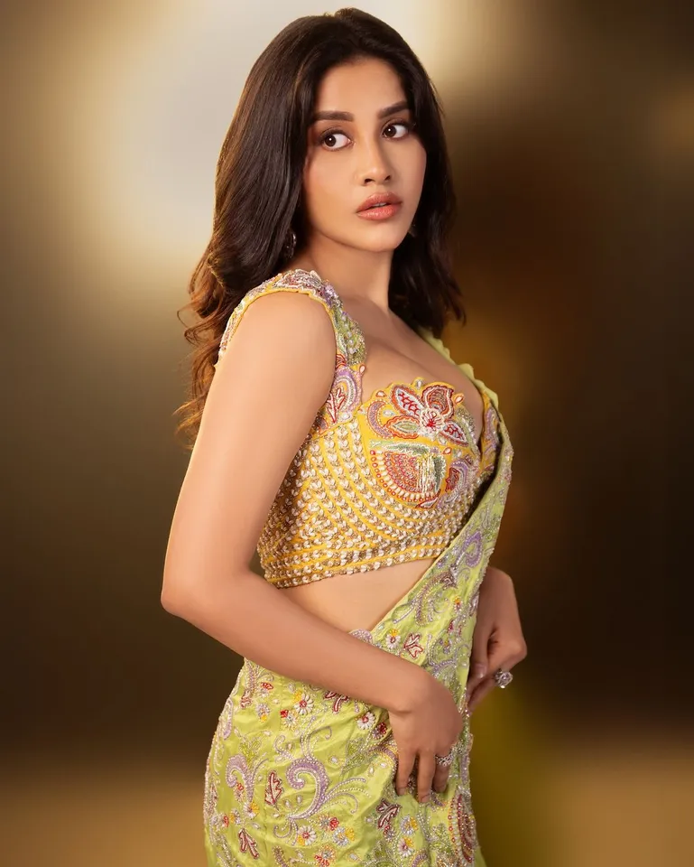Nabha Natesh