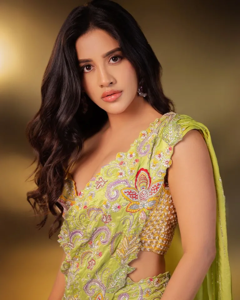 Nabha Natesh
