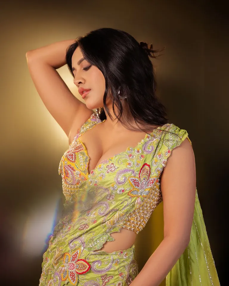 Nabha Natesh