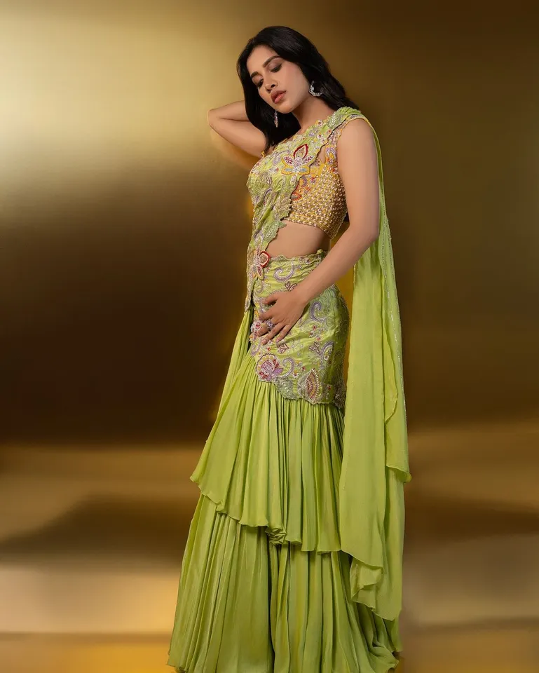 Nabha Natesh