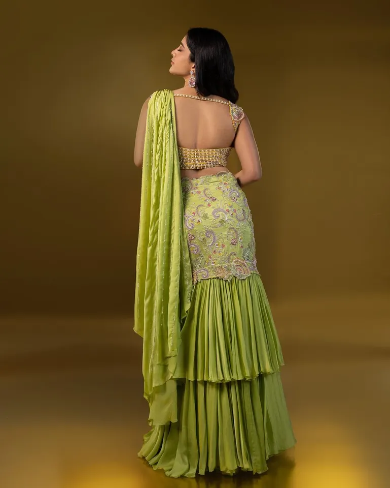 Nabha Natesh