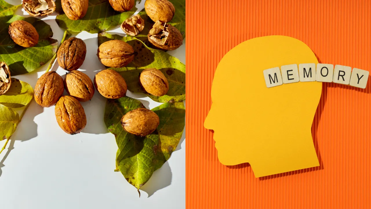Walnut
