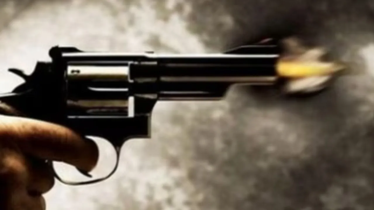 shoot
