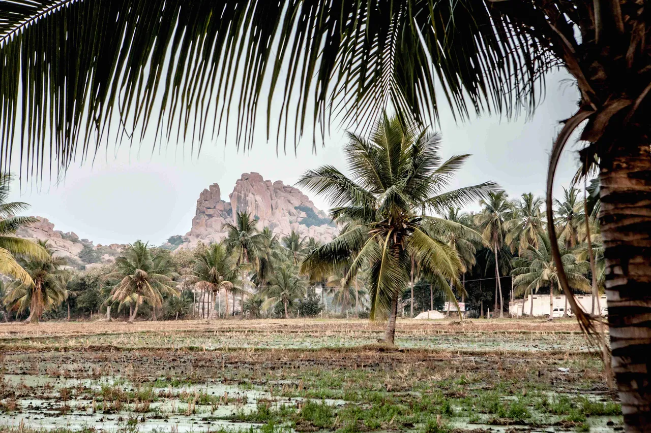 tamilnadu7
