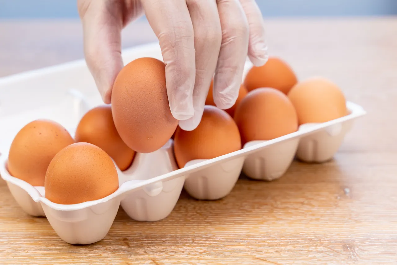 Egg-Amnesia4