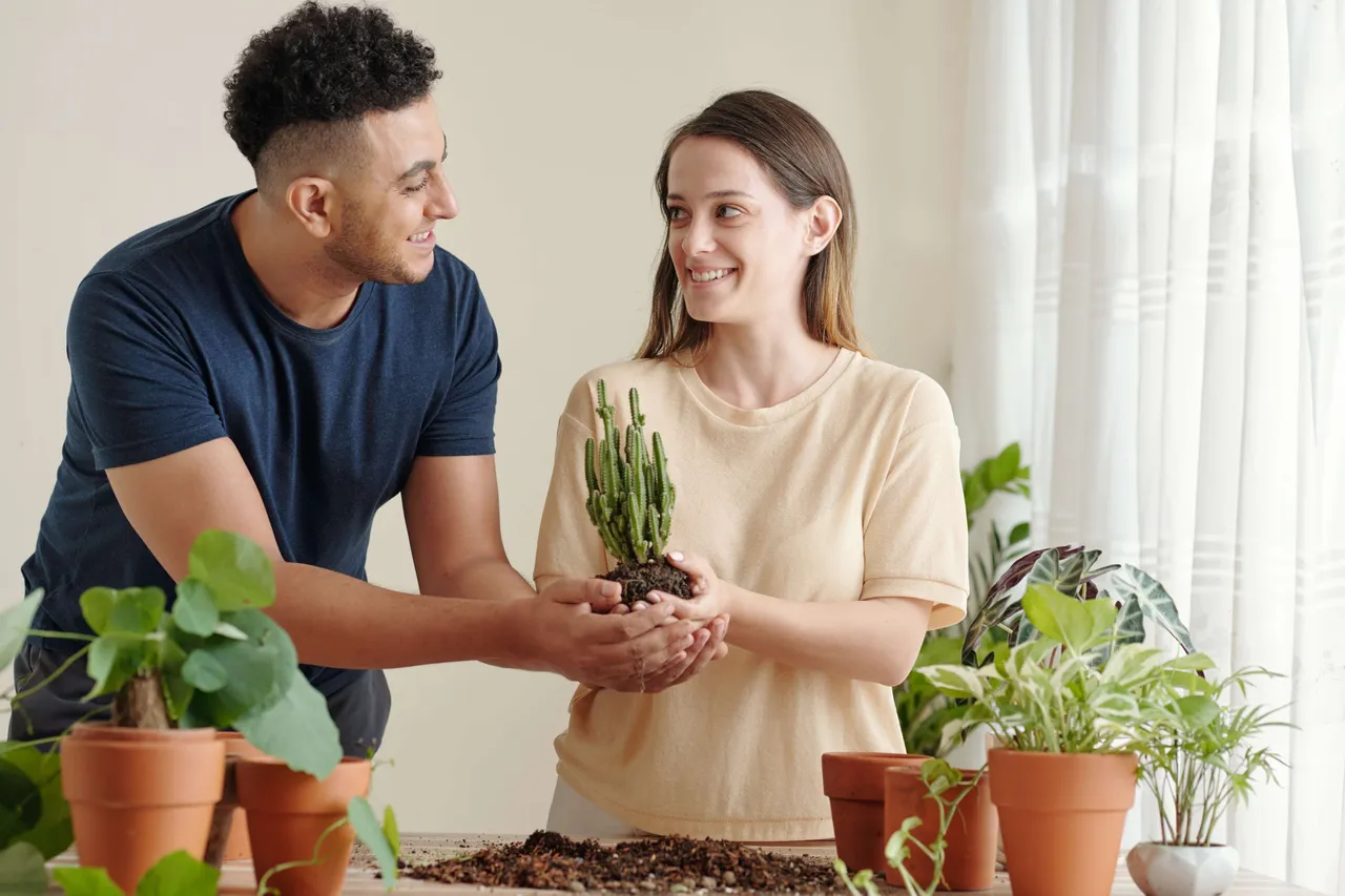 Indoorplants4