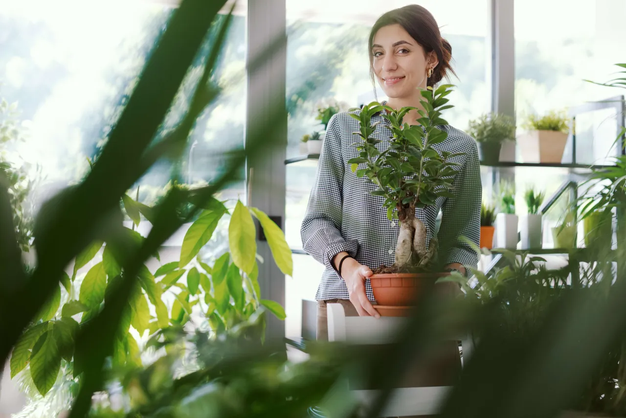 Indoorplants6