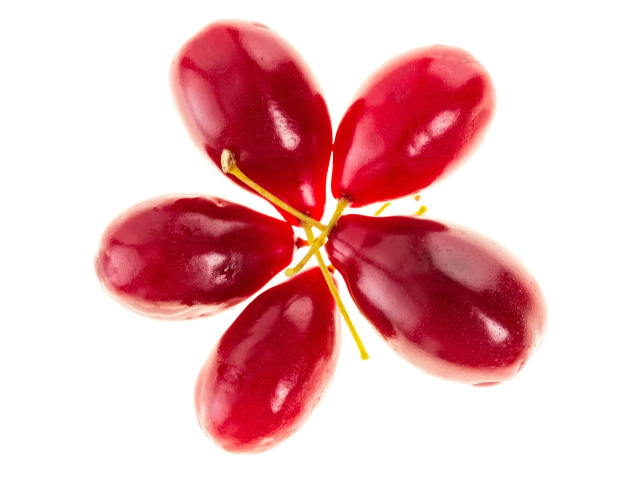 Miraclefruit12