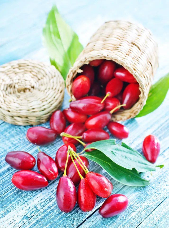 Miraclefruit7