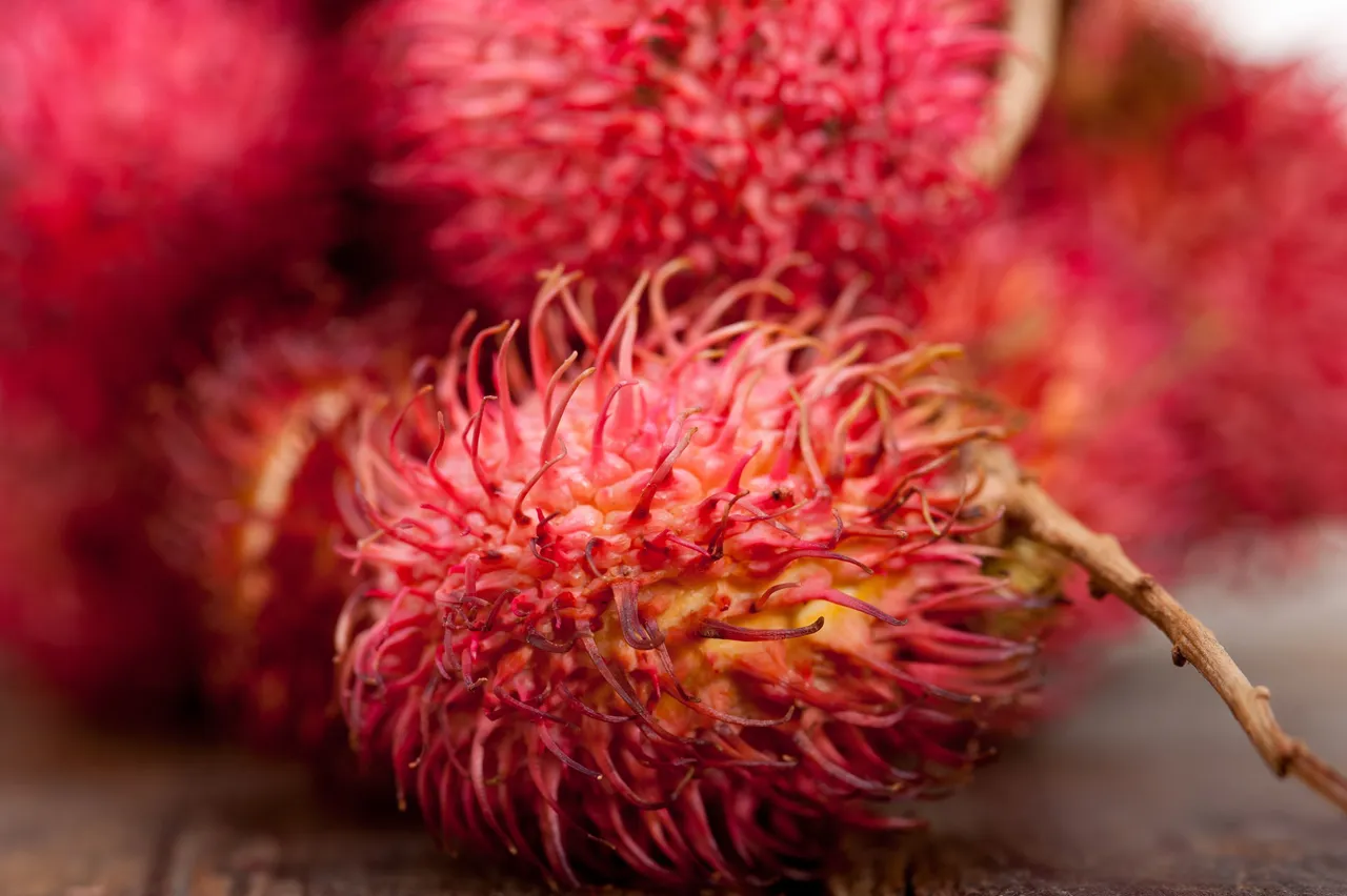 Achiotefruit2