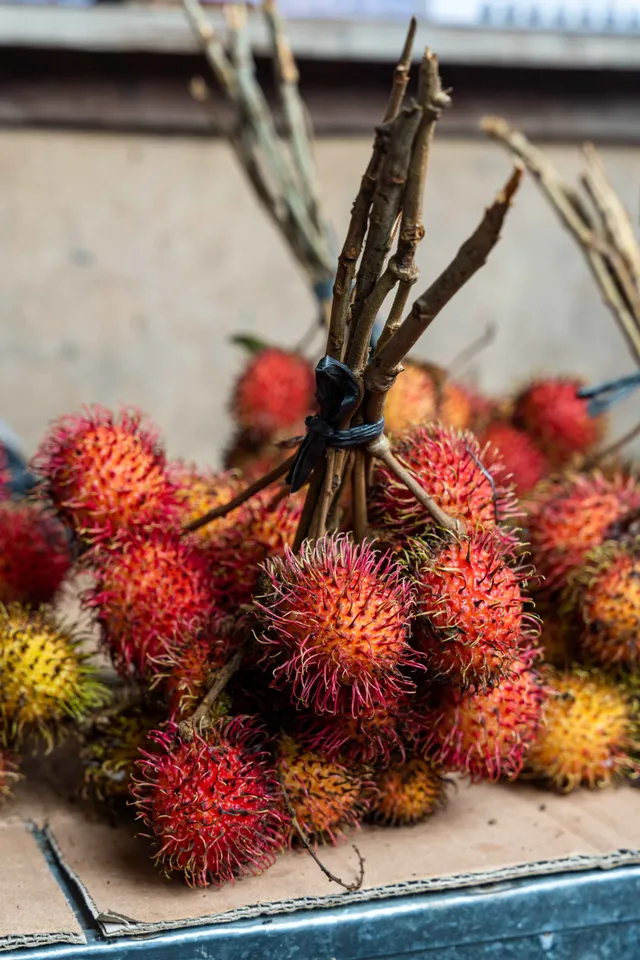 Achiotefruit3