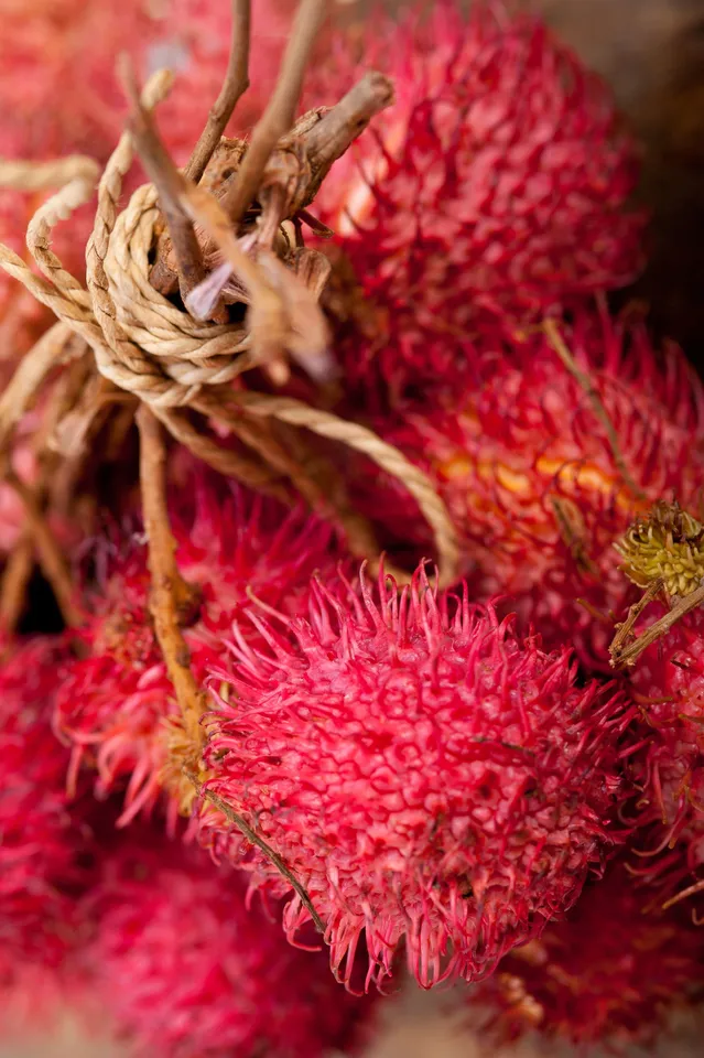 Achiotefruit8