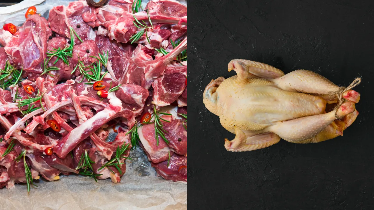 chicken1
