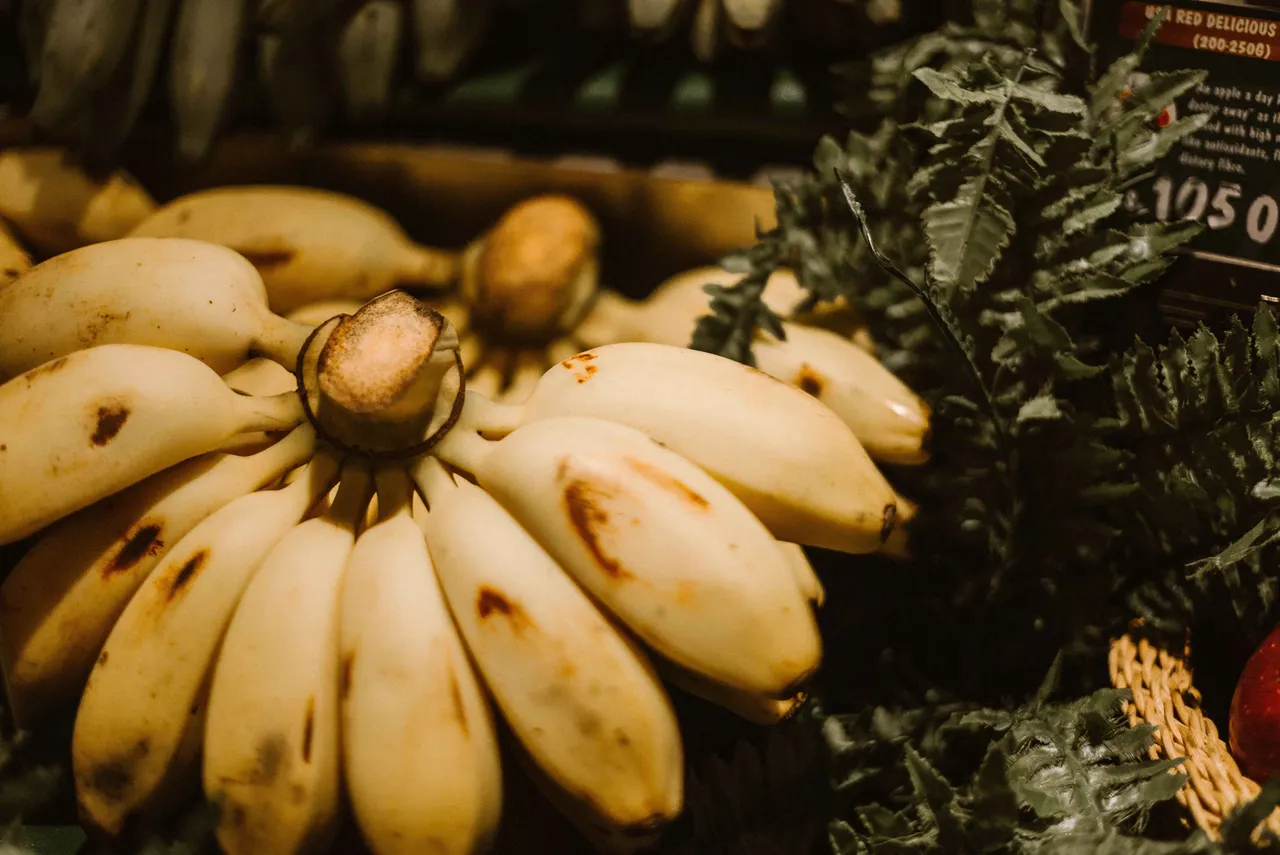 bananawinter4