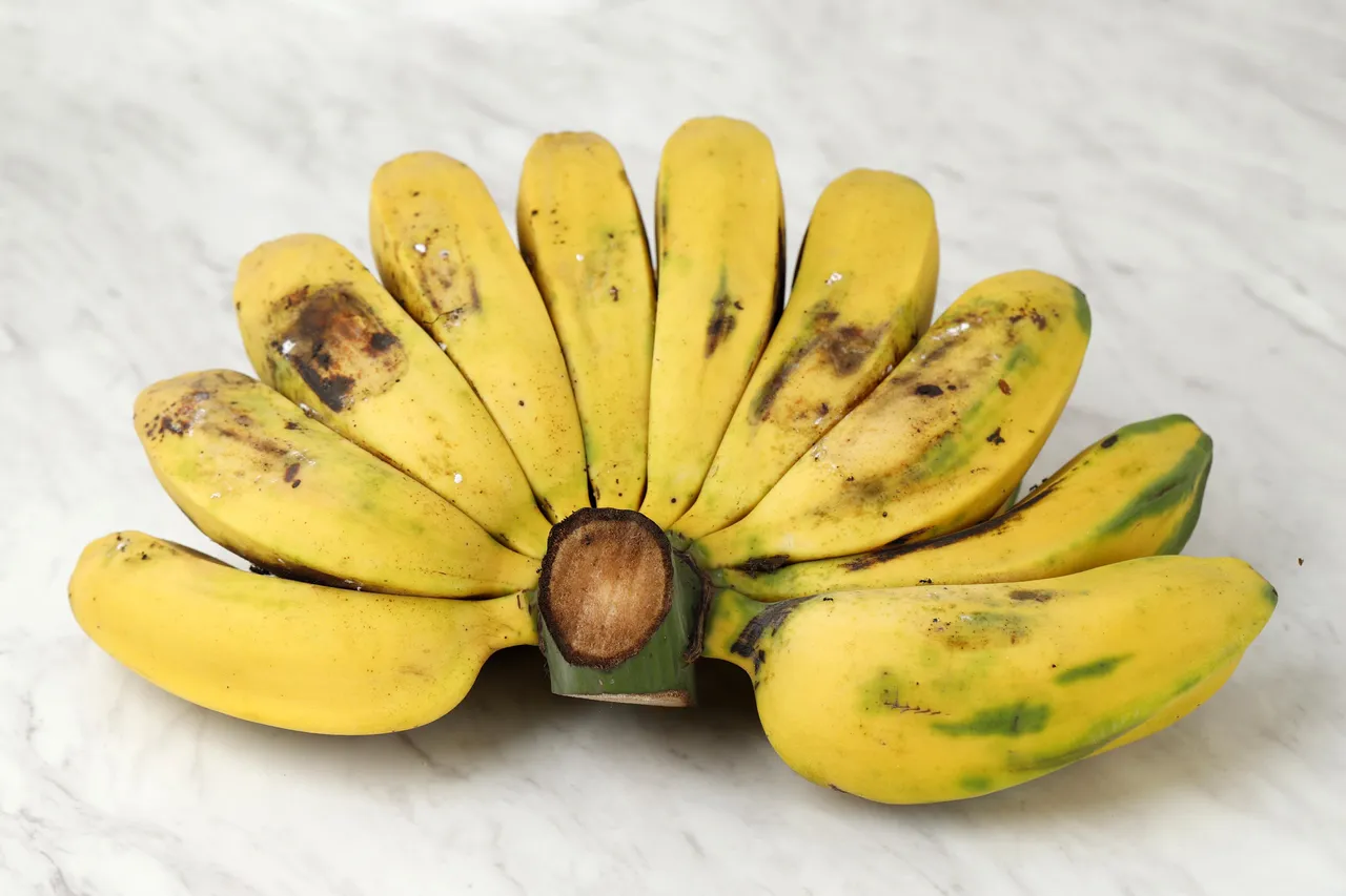 bananawinter8