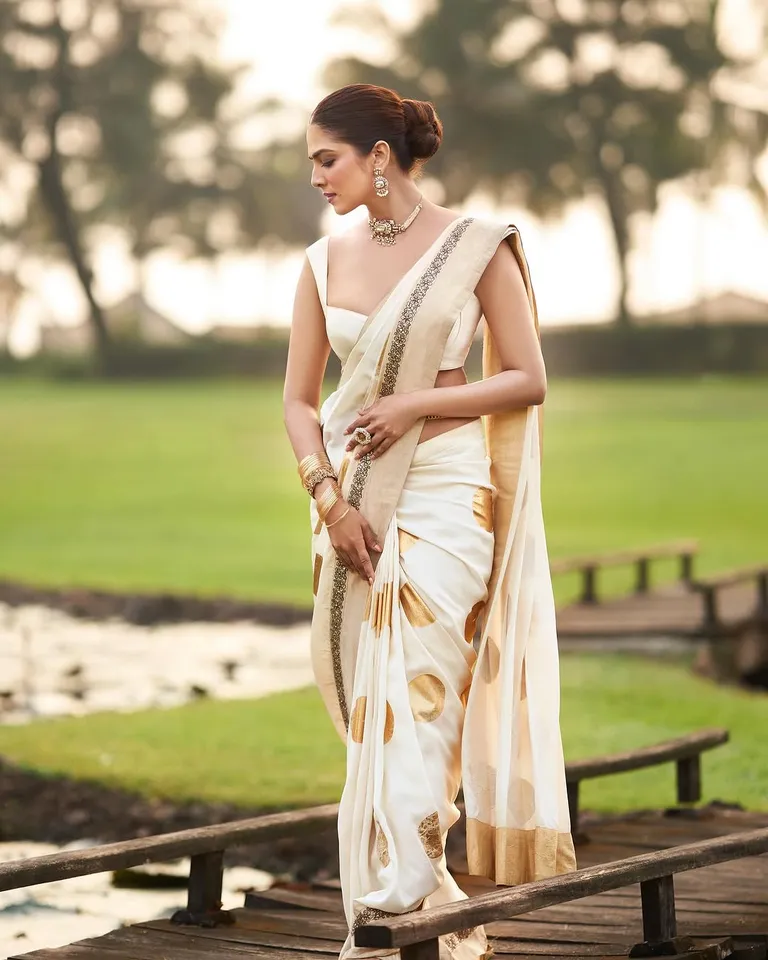 Malavika Mohanan4