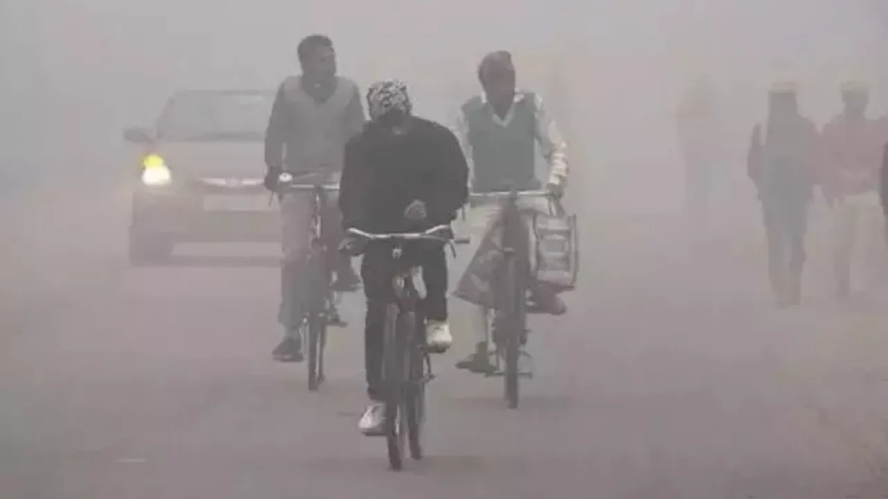 Cold 