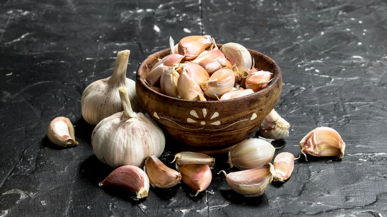 garlic 