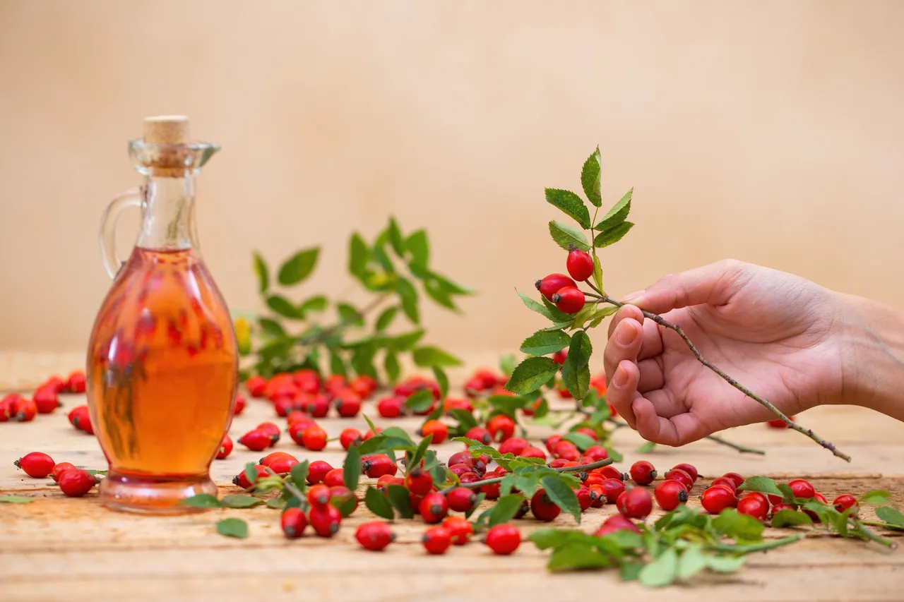 Rosehipoil5