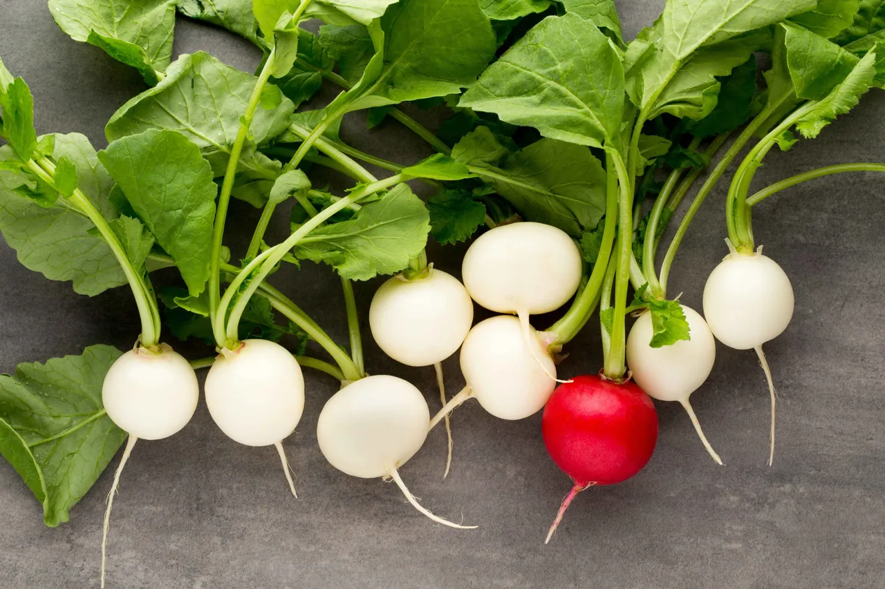 Greenvegetables5