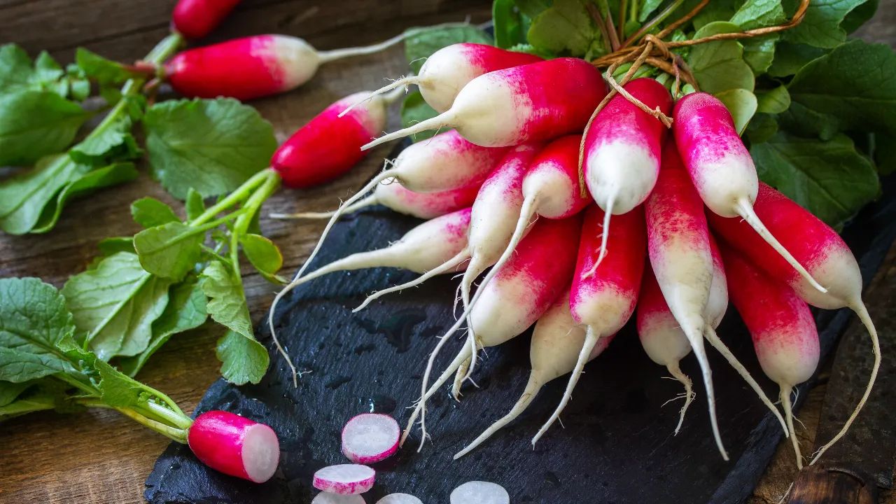 radish benefits 