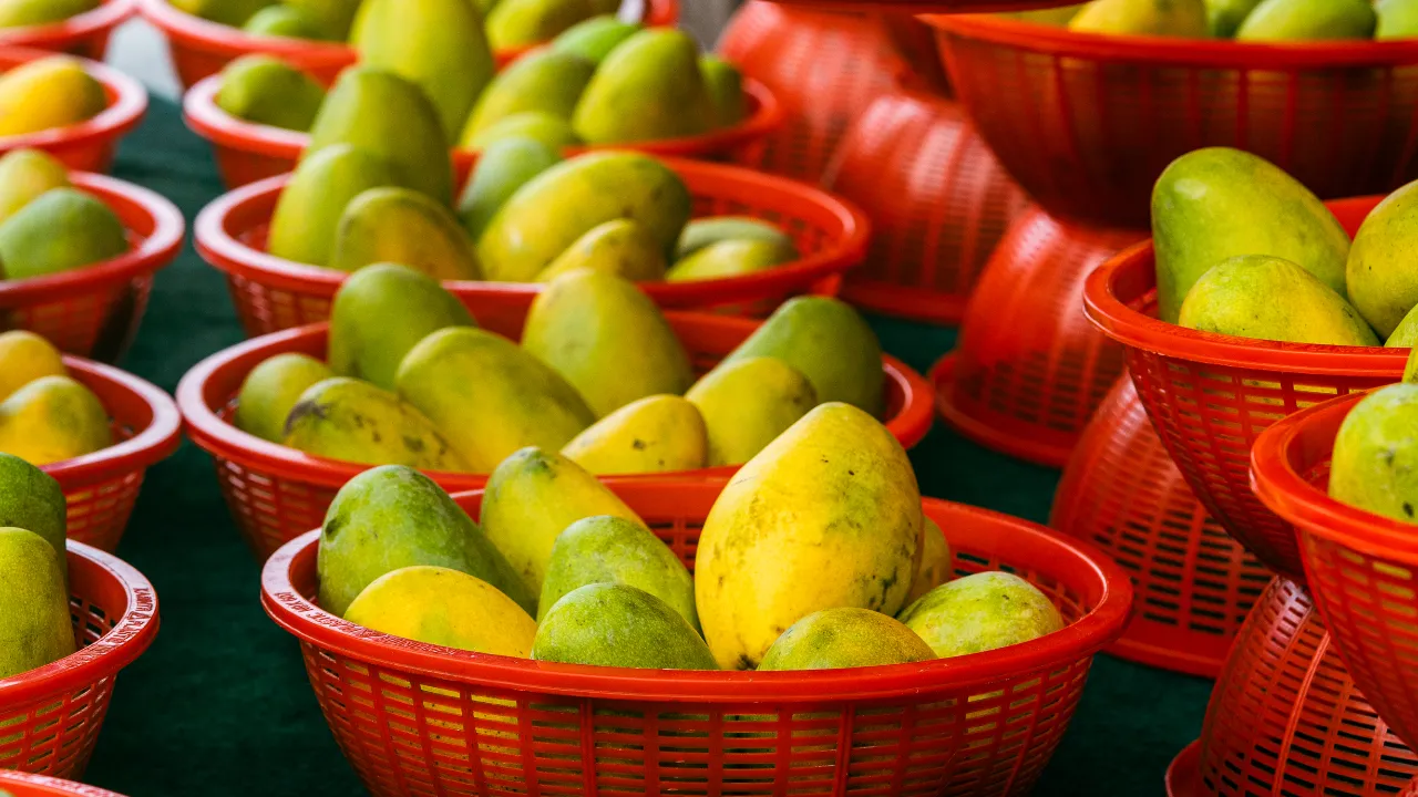 vij mangoes