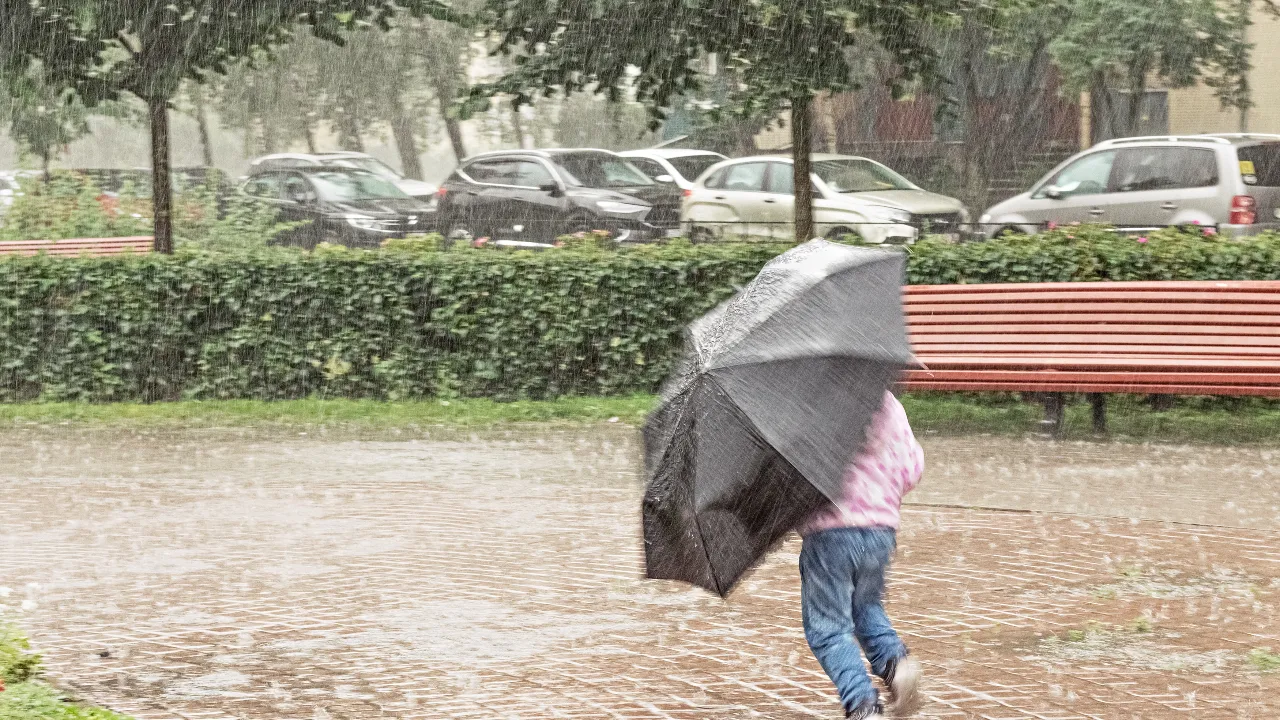 ap rains