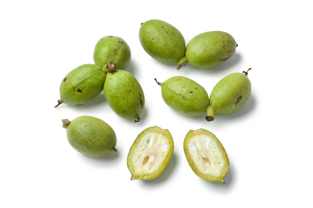 Terminaliafruit14