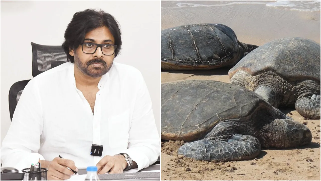 Pawan Kalyan