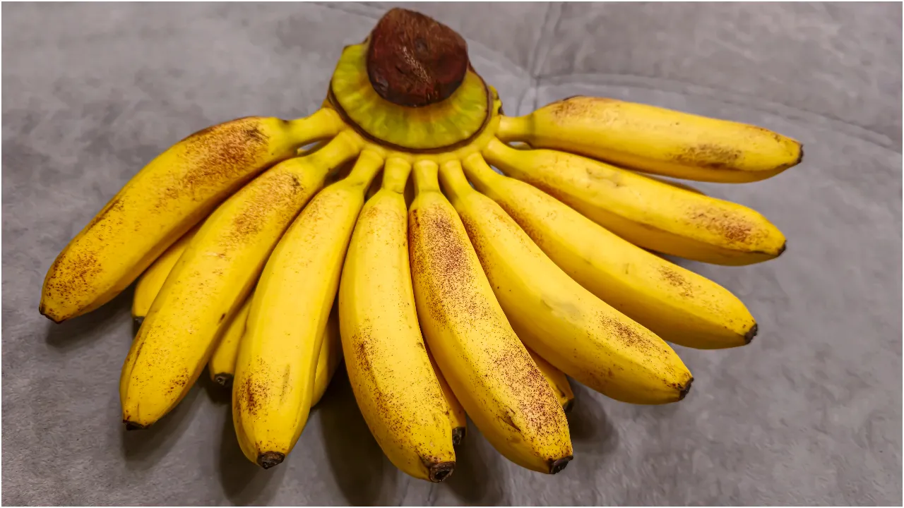 daily eat banana