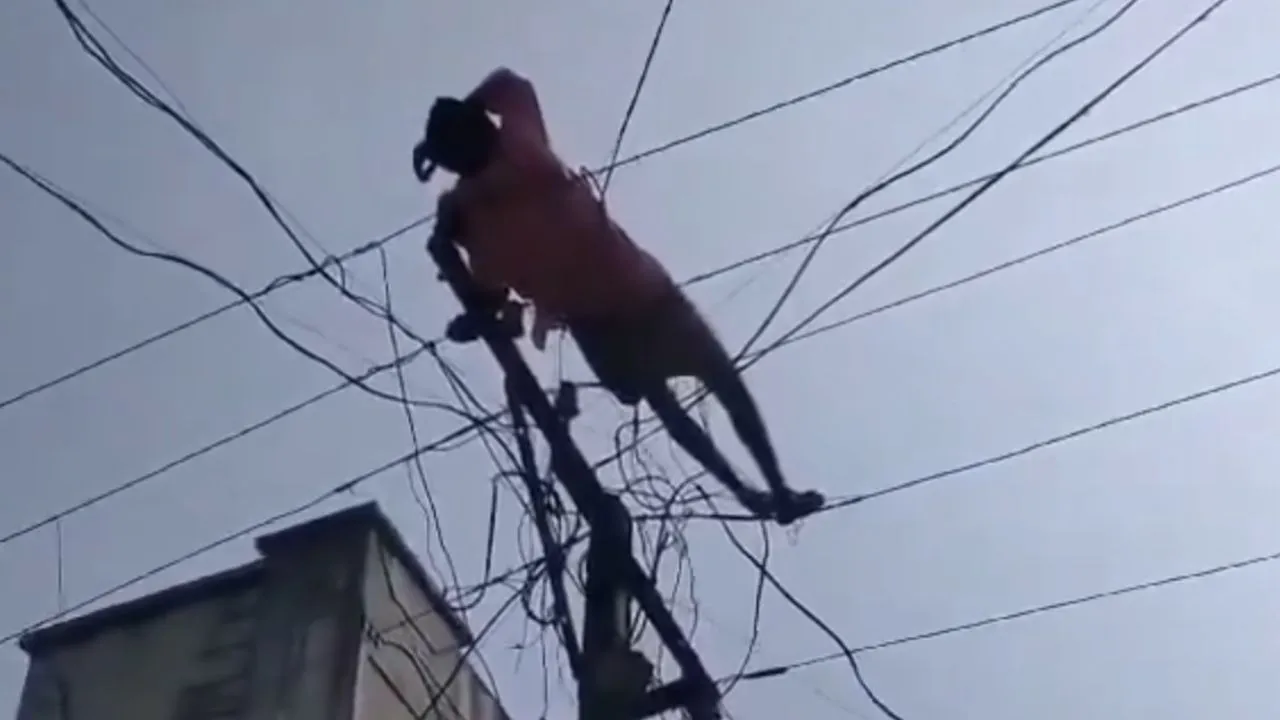 Drunken Man Sleeping on Wires