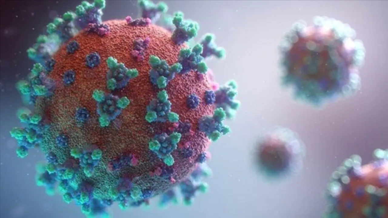 HMPV virus india