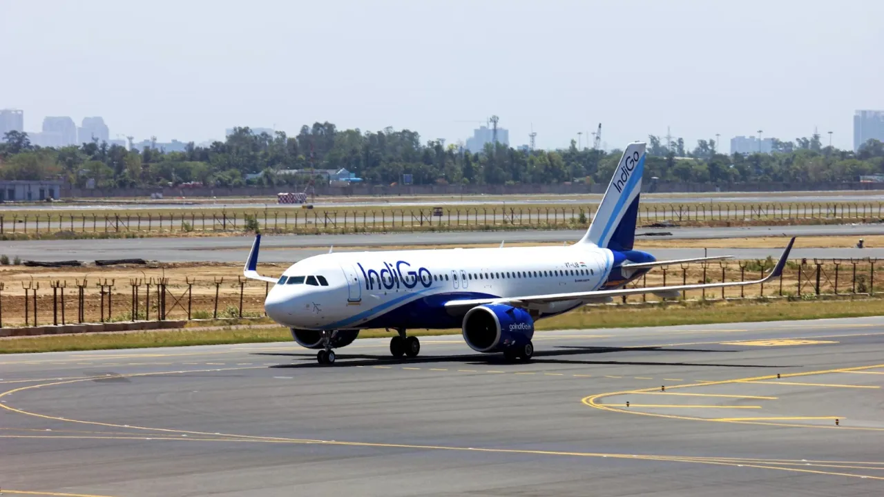 Indigo