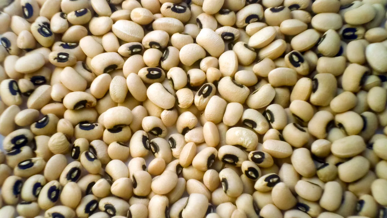 Black-eyed pea