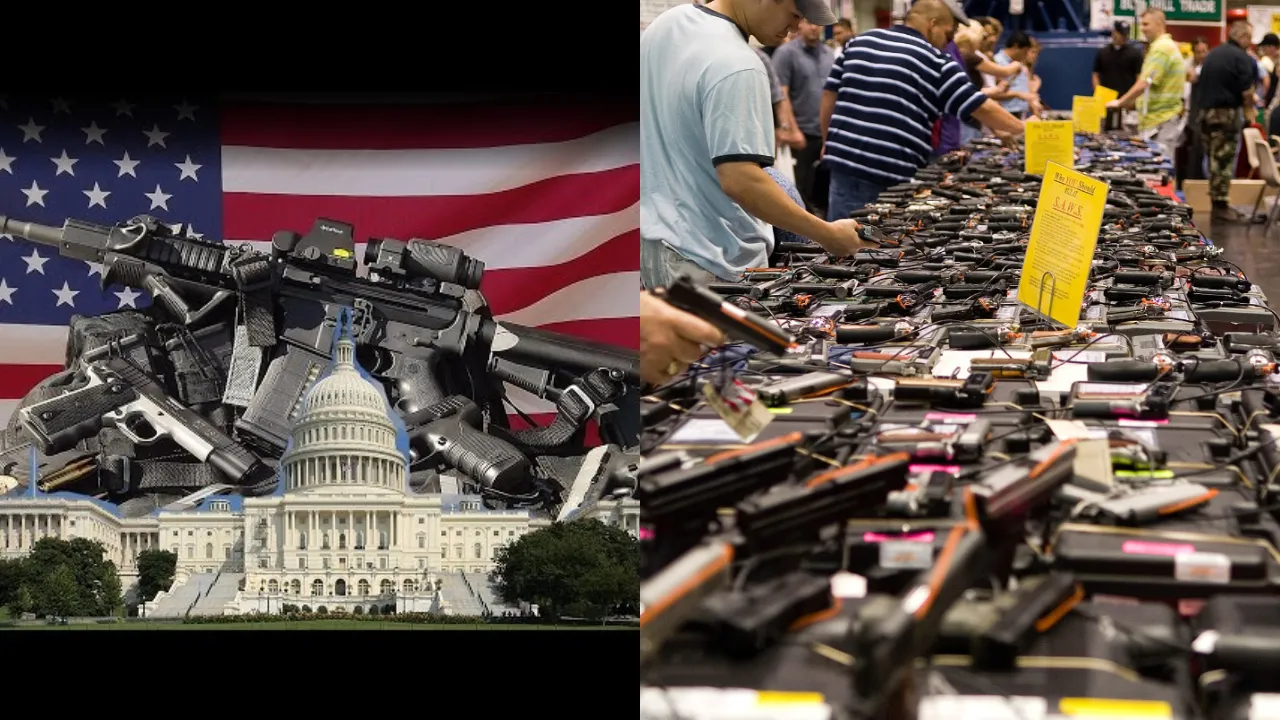 US gun